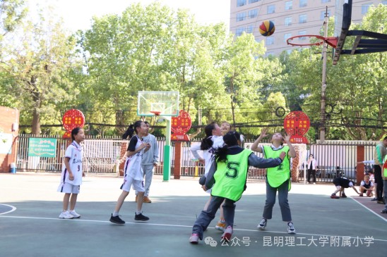 哪里有针对青少年的篮球声誉培养计划_1