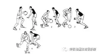 哪里可以找到篮球训练的模范案例_2